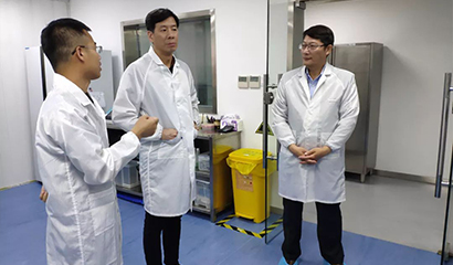 菠菜担保网·(中国区)官方网站