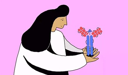 菠菜担保网·(中国区)官方网站