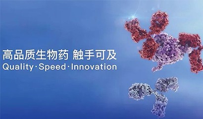 菠菜担保网·(中国区)官方网站