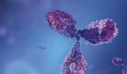 菠菜担保网·(中国区)官方网站