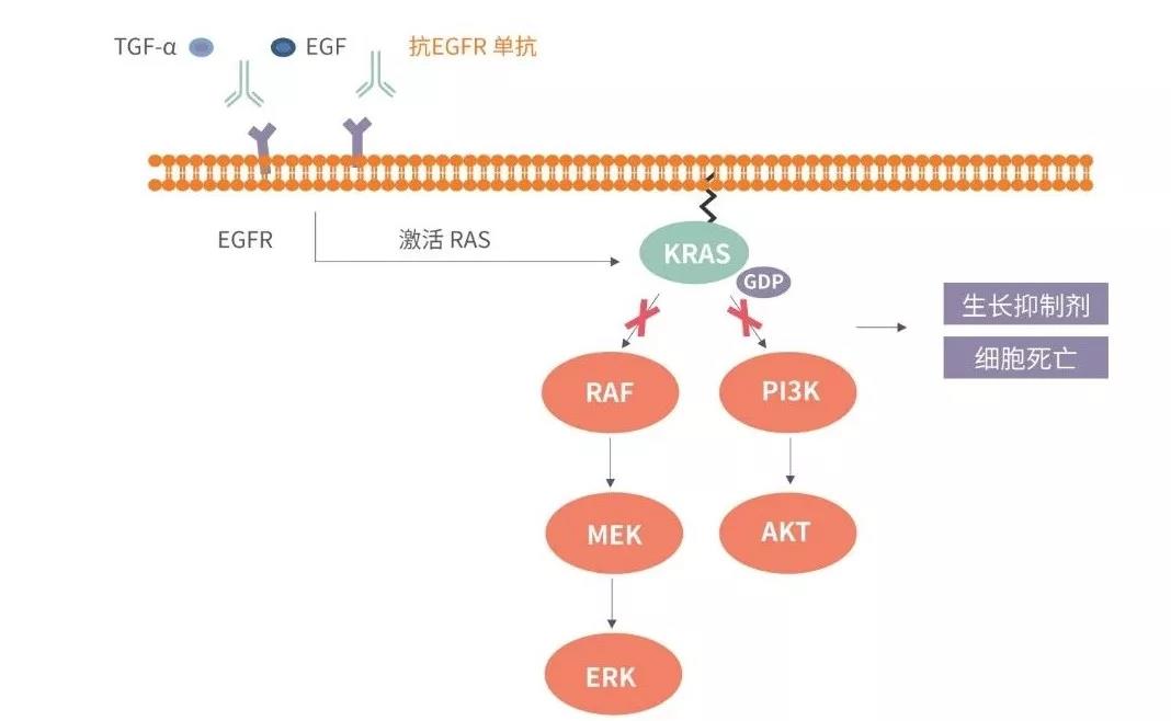 菠菜担保网·(中国区)官方网站