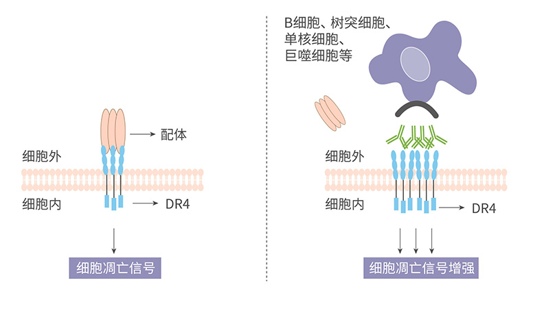 菠菜担保网·(中国区)官方网站