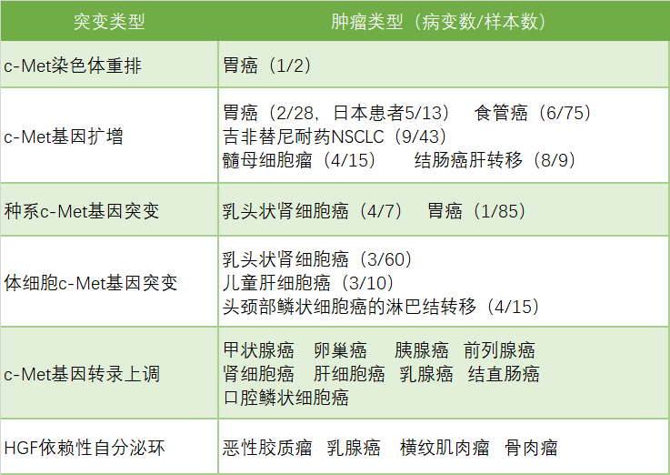 菠菜担保网·(中国区)官方网站