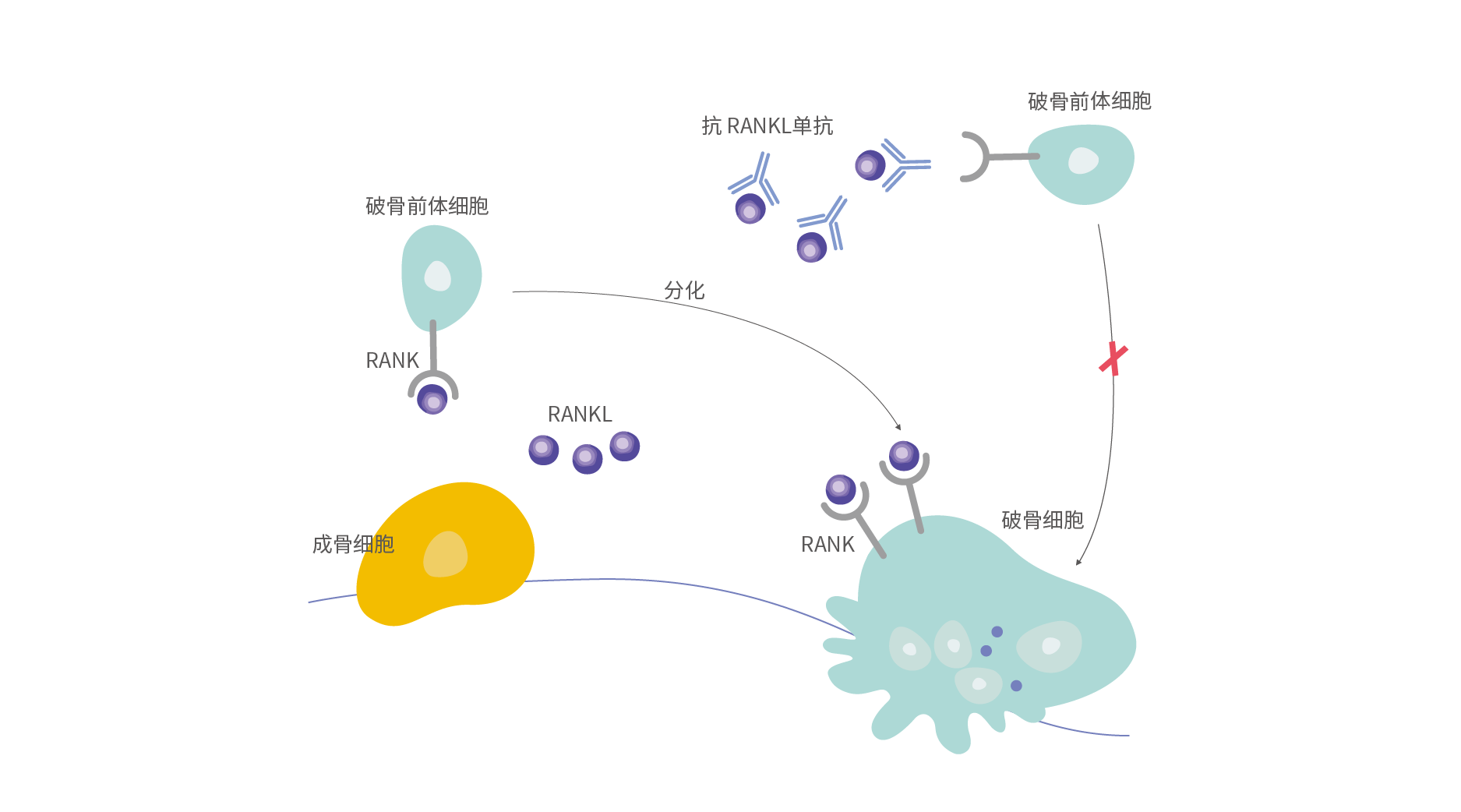 菠菜担保网·(中国区)官方网站