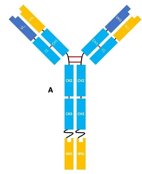 菠菜担保网·(中国区)官方网站