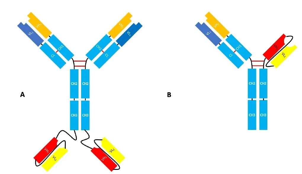 菠菜担保网·(中国区)官方网站