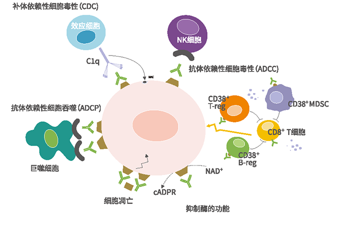 菠菜担保网·(中国区)官方网站
