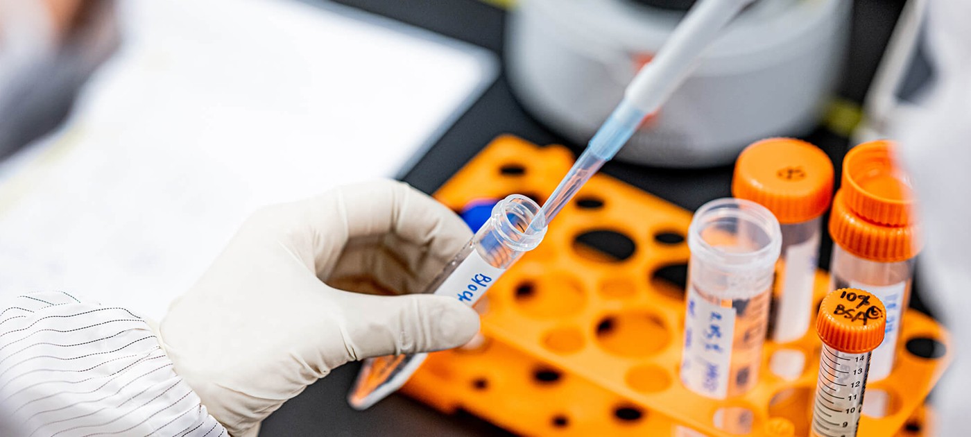 菠菜担保网·(中国区)官方网站