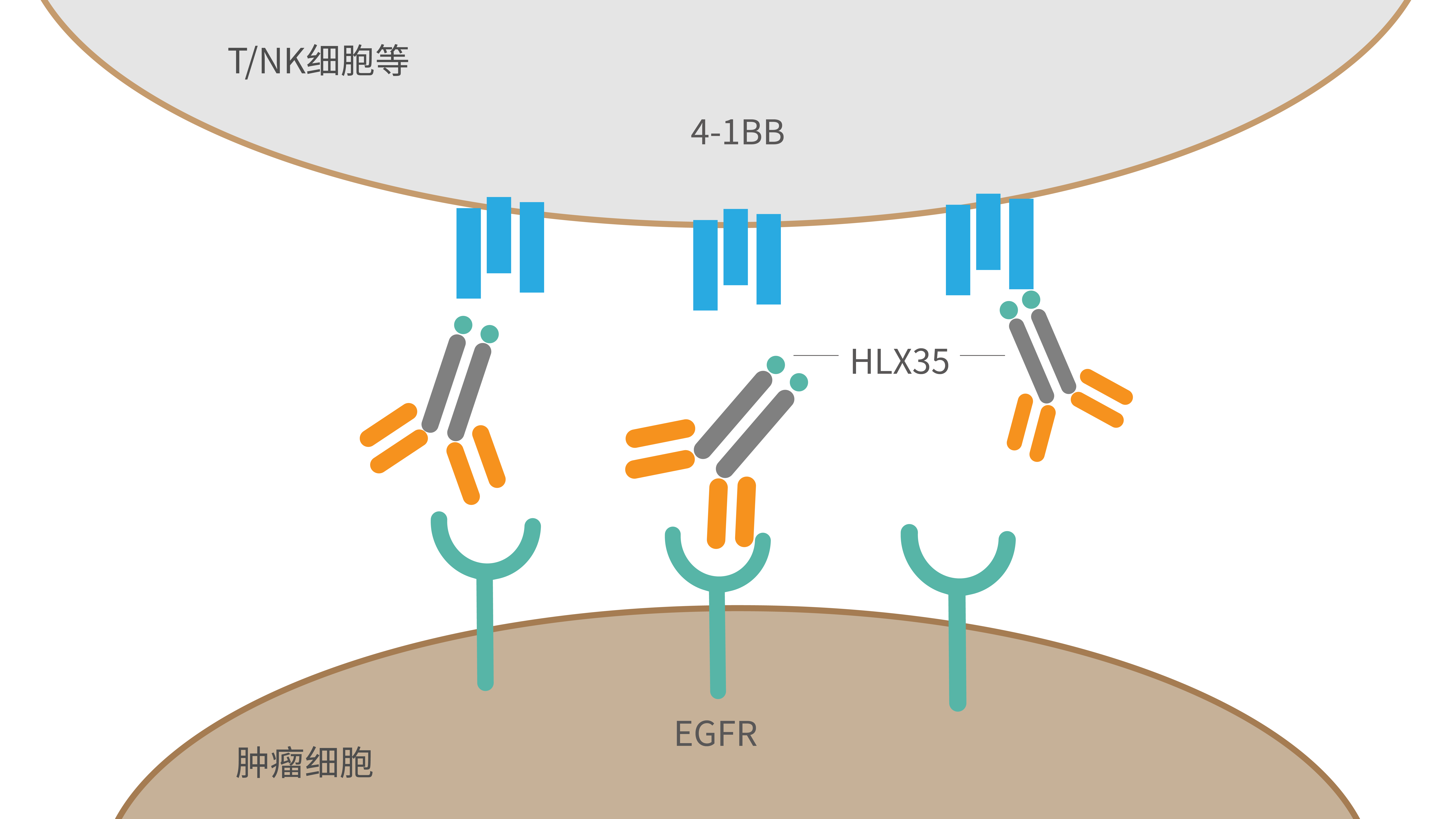 菠菜担保网·(中国区)官方网站