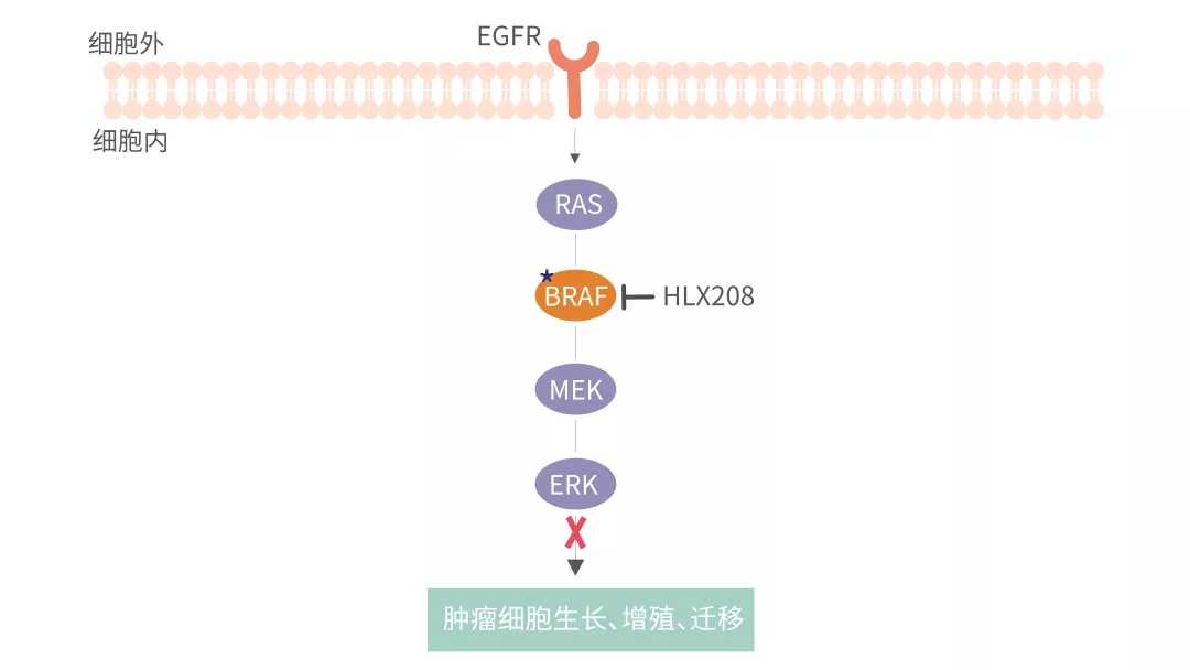 菠菜担保网·(中国区)官方网站