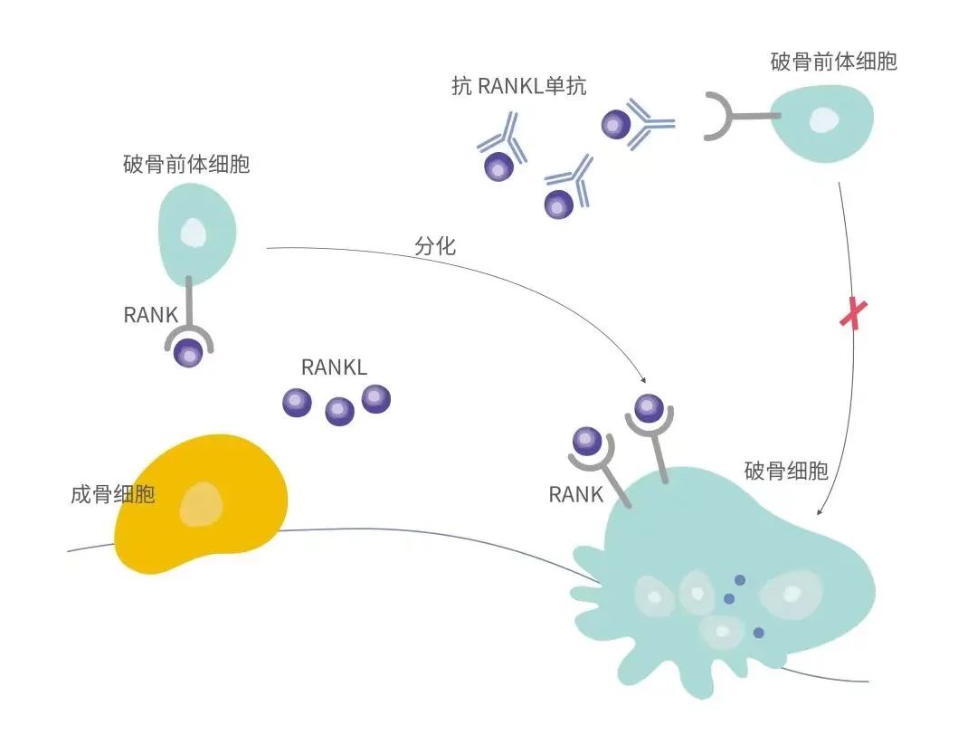 菠菜担保网·(中国区)官方网站