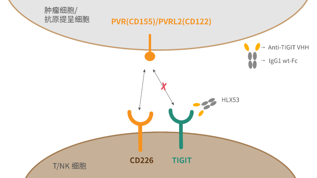 菠菜担保网·(中国区)官方网站