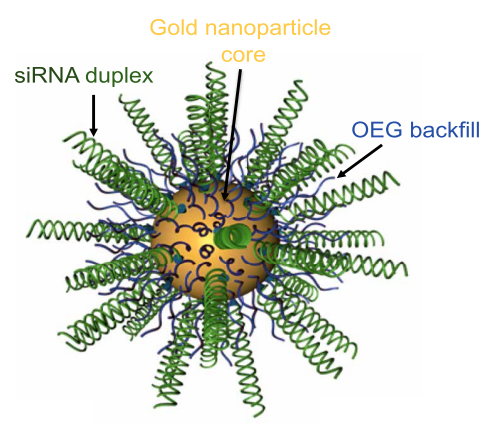 菠菜担保网·(中国区)官方网站