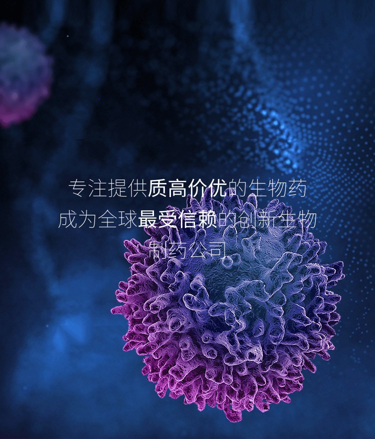 菠菜担保网·(中国区)官方网站