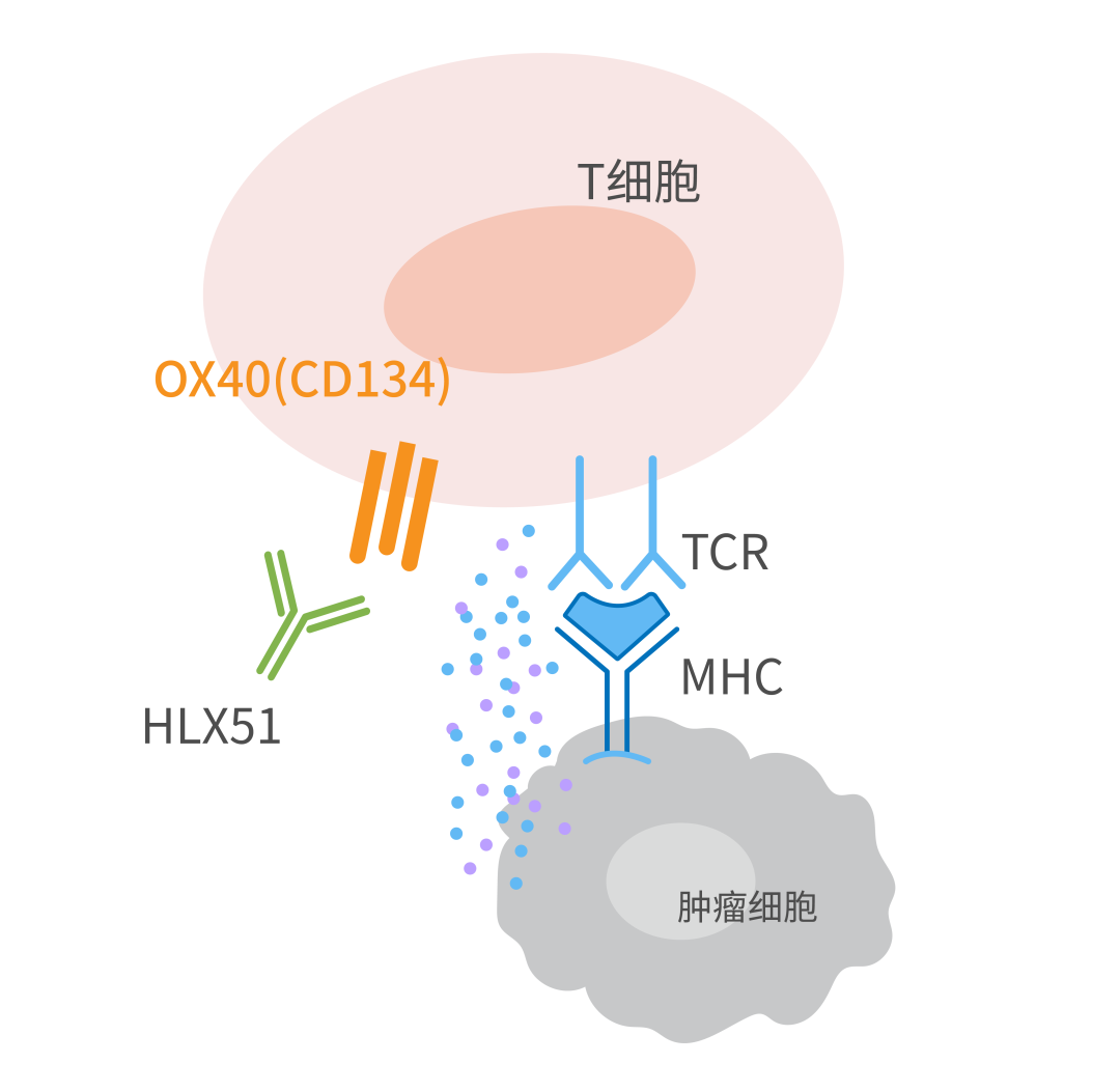 菠菜担保网·(中国区)官方网站