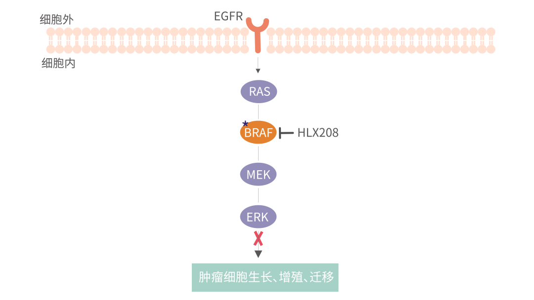 菠菜担保网·(中国区)官方网站