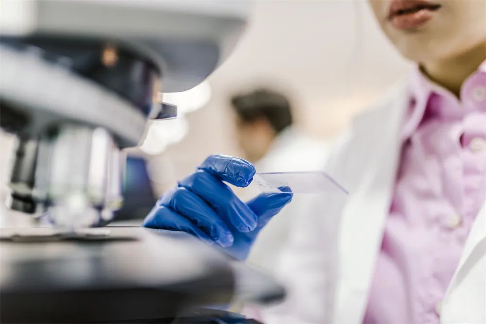 菠菜担保网·(中国区)官方网站