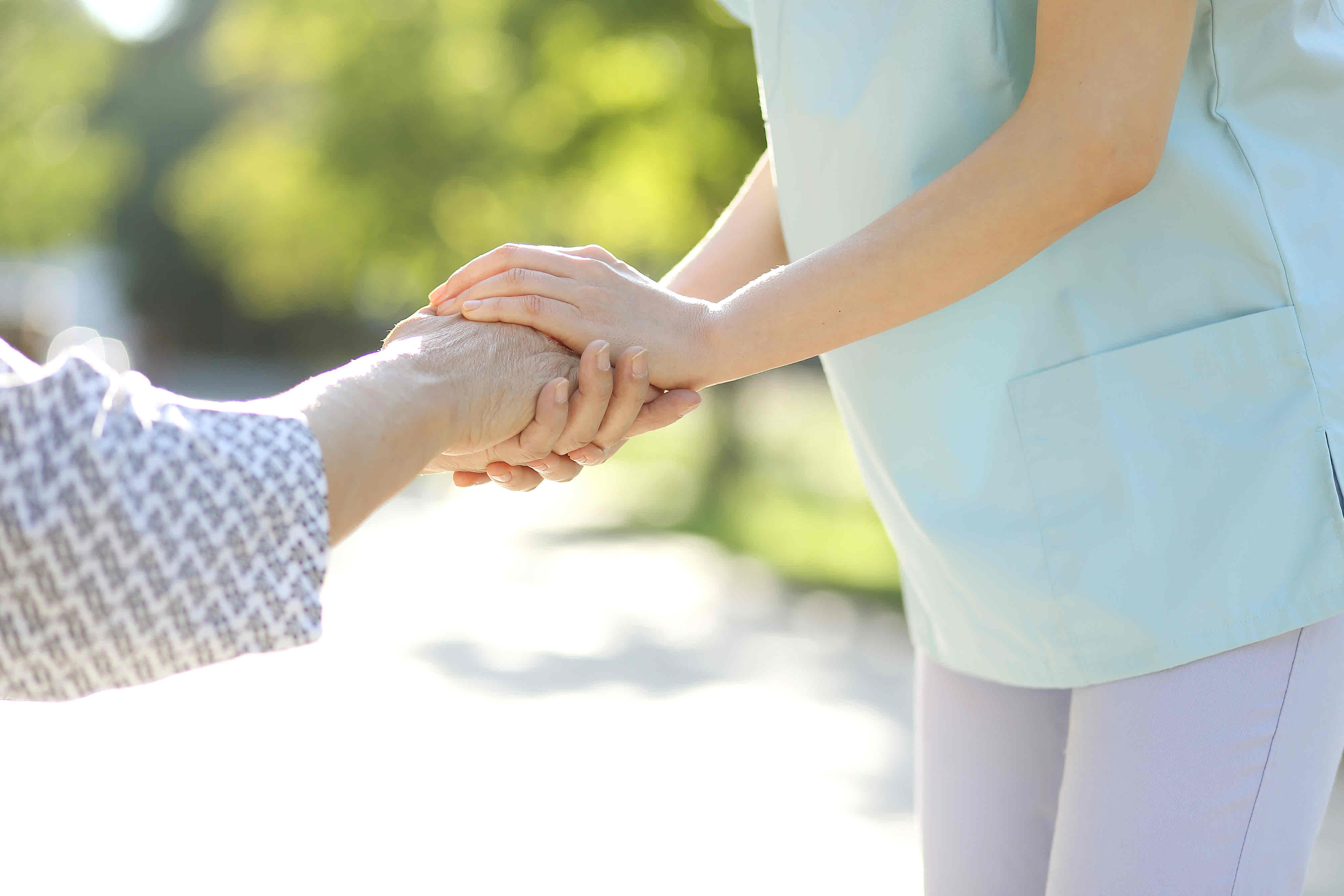 菠菜担保网·(中国区)官方网站