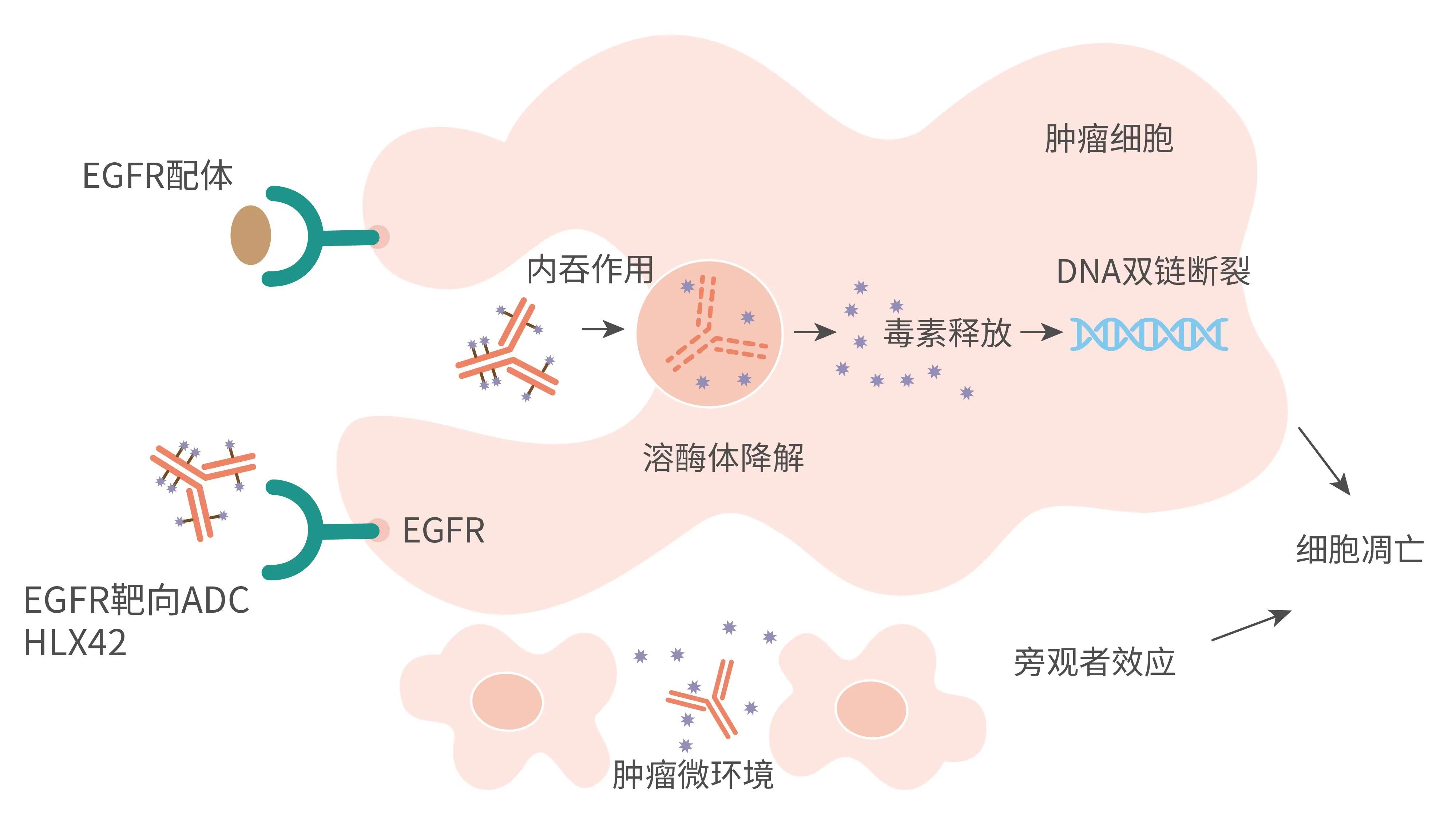 菠菜担保网·(中国区)官方网站