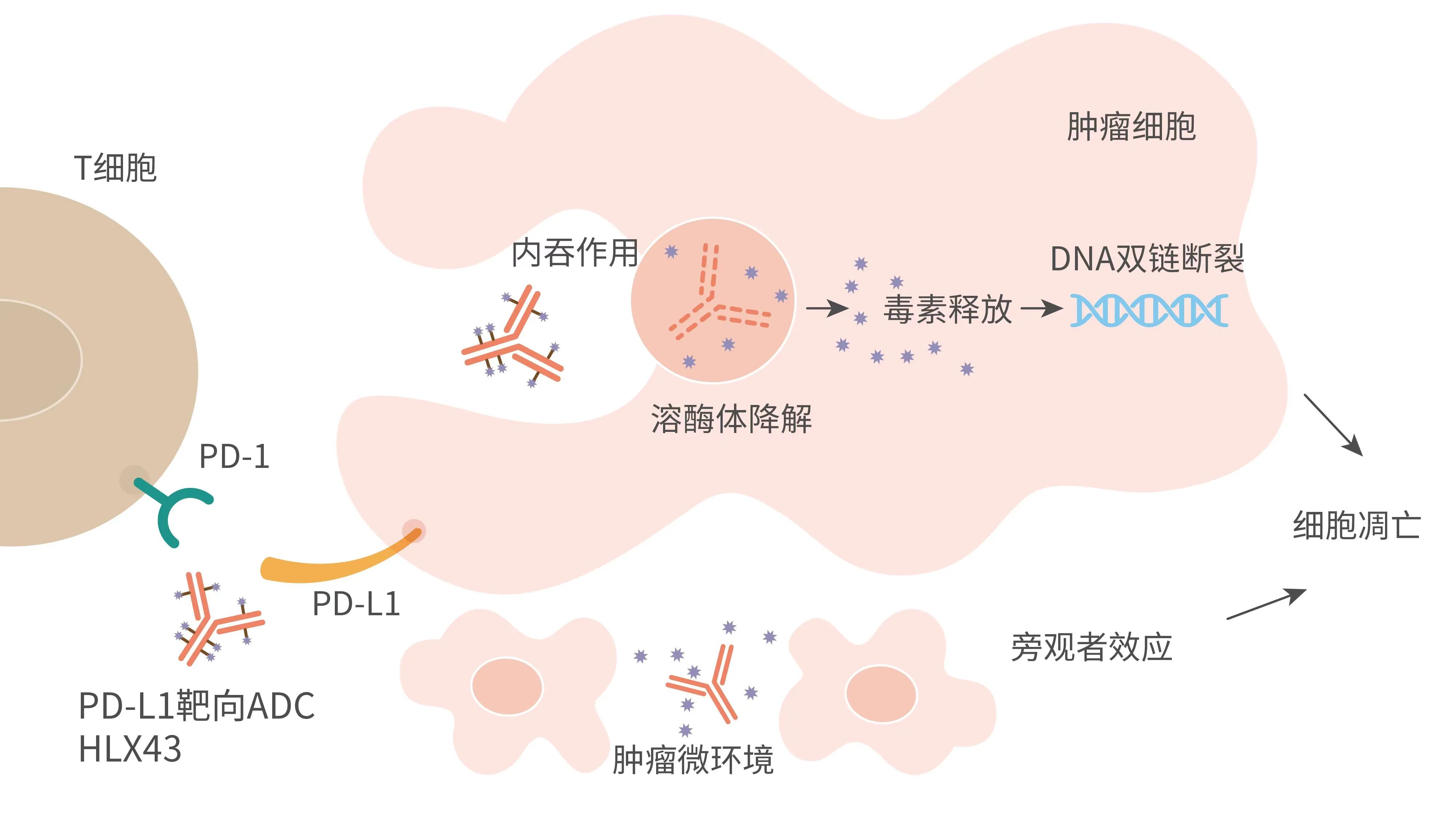 菠菜担保网·(中国区)官方网站