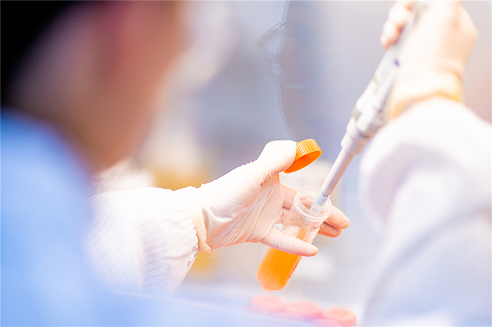 菠菜担保网·(中国区)官方网站