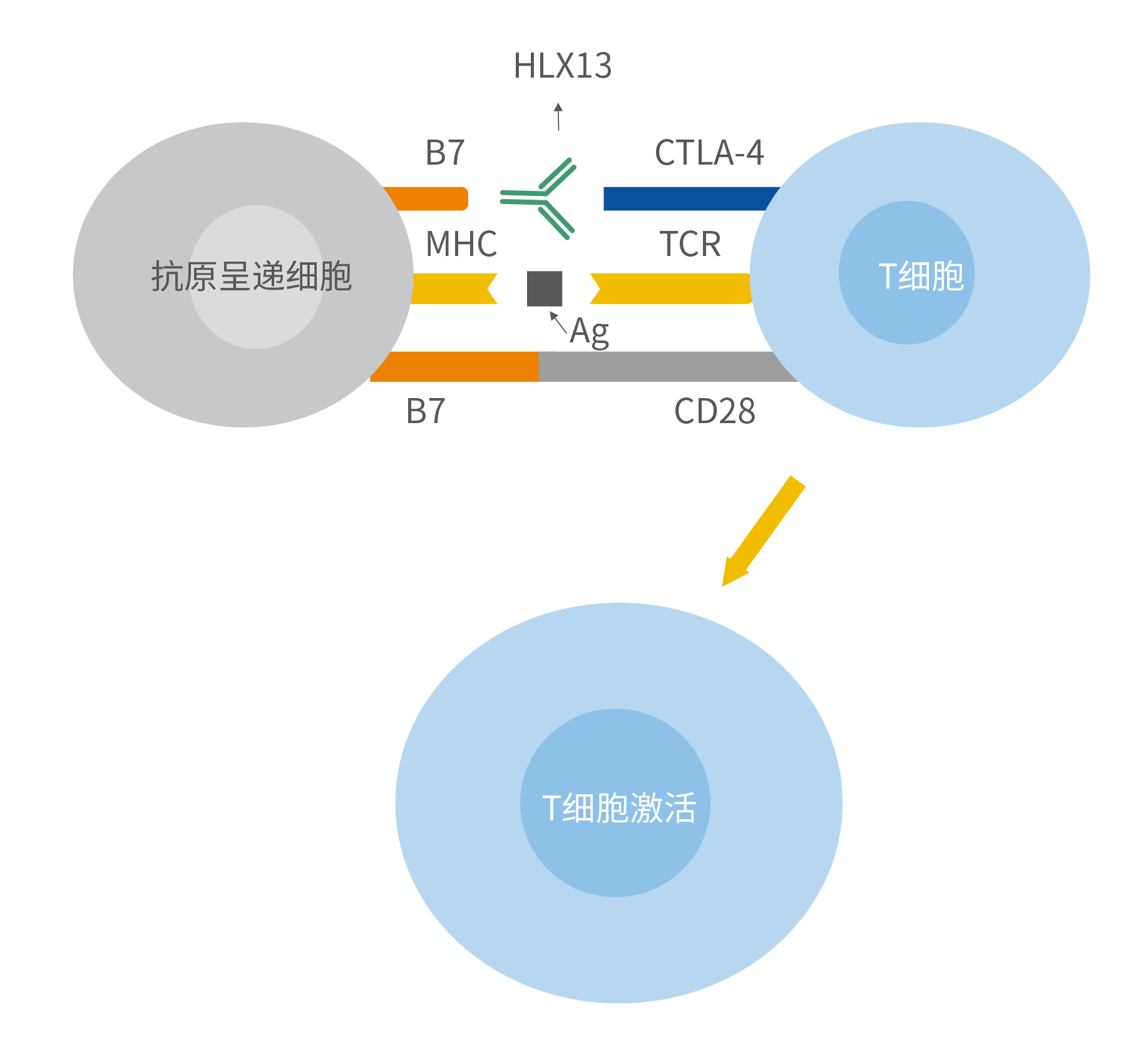 菠菜担保网·(中国区)官方网站