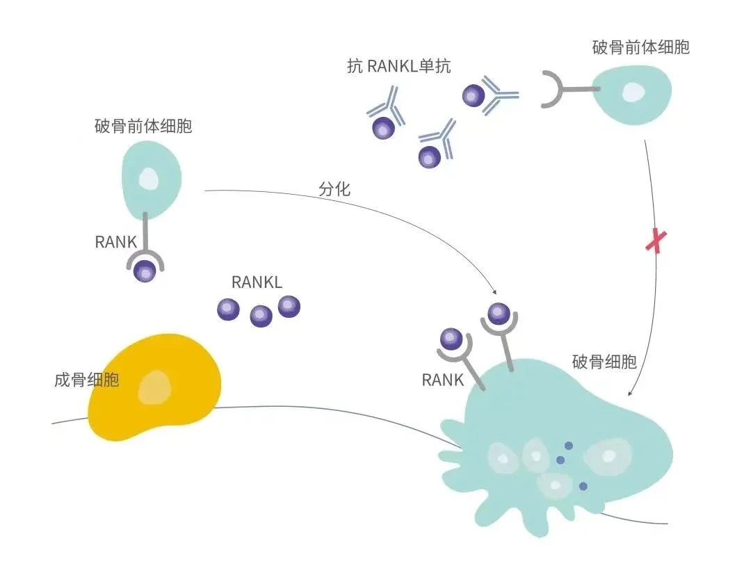 菠菜担保网·(中国区)官方网站