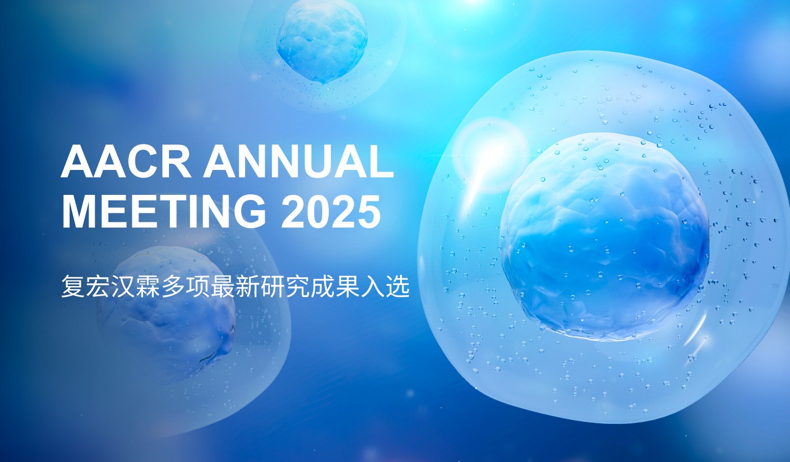 菠菜担保网·(中国区)官方网站