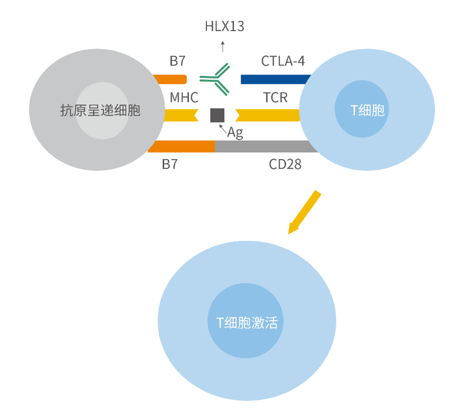 菠菜担保网·(中国区)官方网站