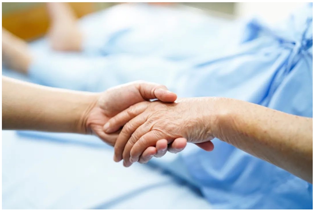 菠菜担保网·(中国区)官方网站